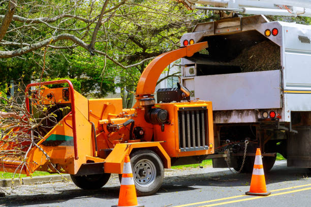 Best Seasonal Cleanup  in Huber Heights, OH